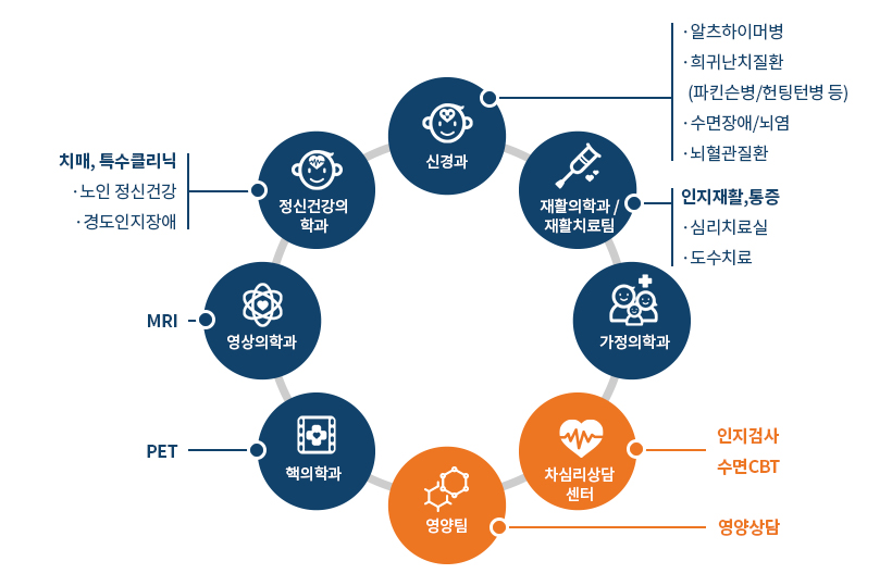 모식도