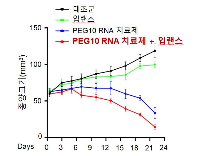 참고자료