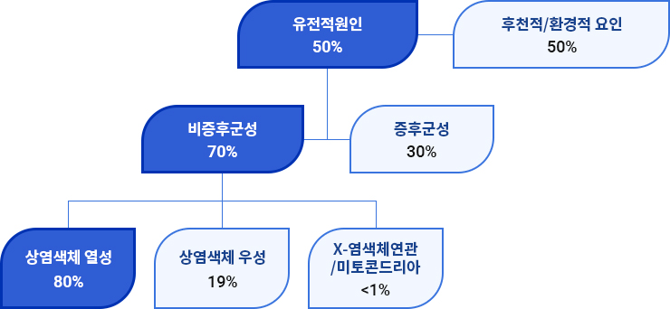 아이청진_검사소개2