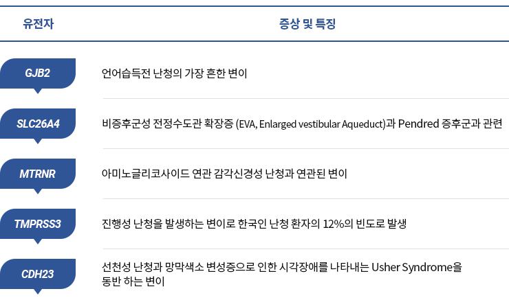 아이청진 검사해석