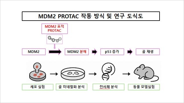 표1 이미지