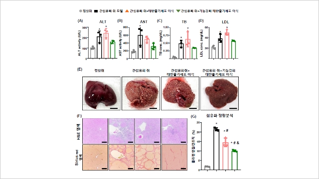 표1 이미지