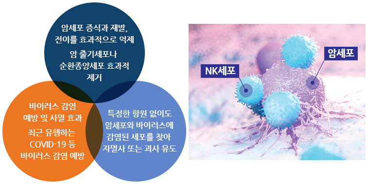 면역치료설명1
