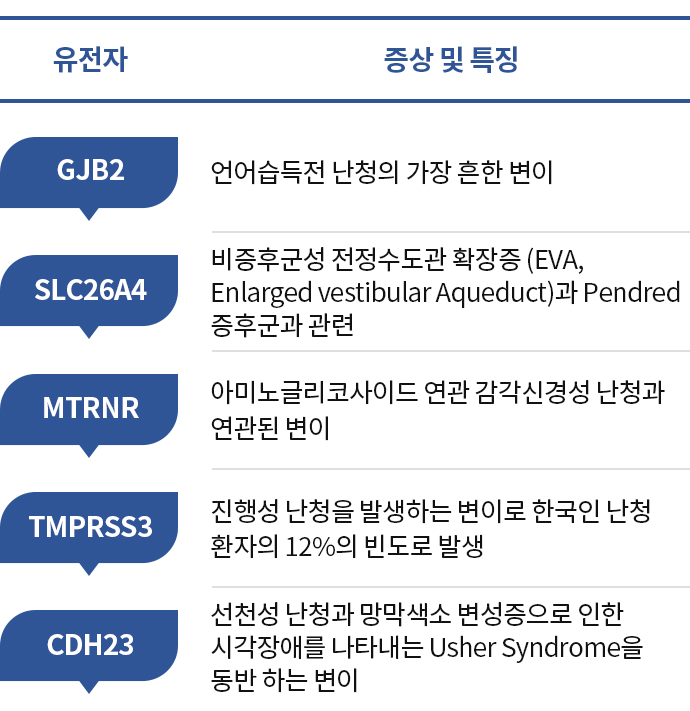아이청진 검사해석