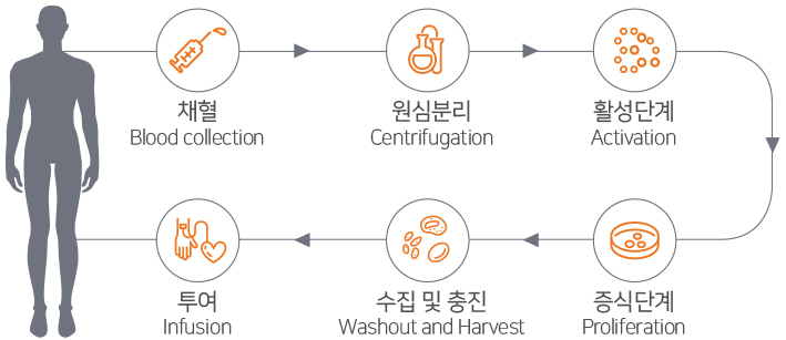 면역치료설명2