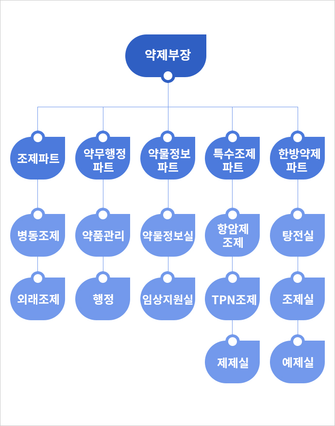약제부 조직도